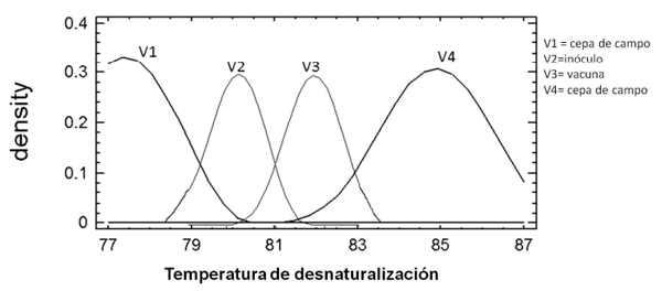 Figura 1. Distribución de las curvas de desnaturalización correspondientes a cada variante encontrada.