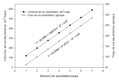 Figura 5. Estimación del volumen y peso de los seudotallos que forman una cepa en función del número de seudotallos por cepa.