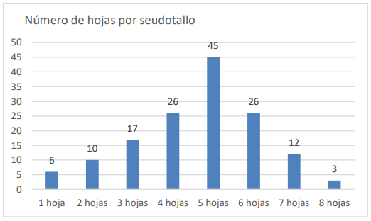 Figura 2. Distribución de frecuencias absolutas del número de hojas por seudotallo en banco forrajero de musáceas, Ochomogo, Cartago, 2013.