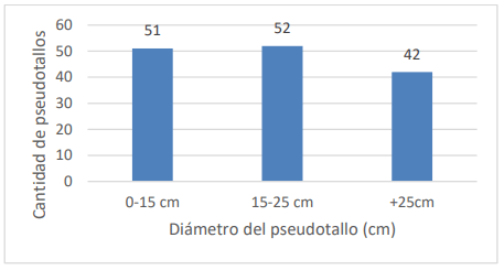 Figura 1. Distribución diamétrica de los seudotallos del banco forrajero de musáceas, Ochomogo, Cartago, 2013.