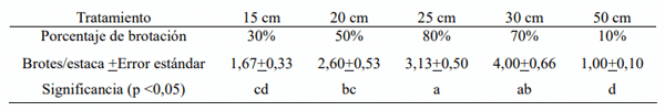 Cuadro 2. Porcentaje de brotación y número promedio de yemas brotadas por estaca en la semana 10.