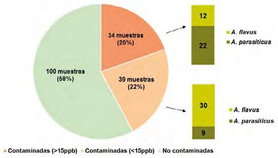 Contaminación de aflatoxinas en frutos secos: un problema emergente - Image 1