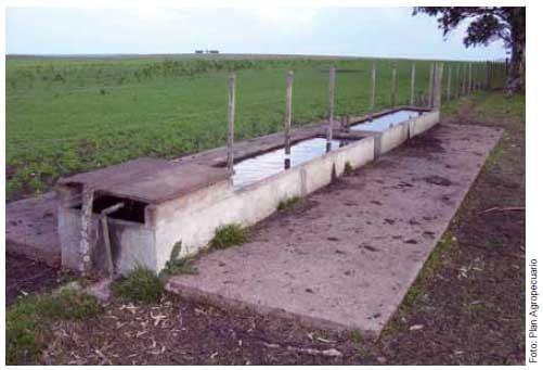 Uso del Agua en establecimientos agropecuarios. Sistema de abrevadero (Parte I) ¿Cuánta agua toma una vaca? - Image 5