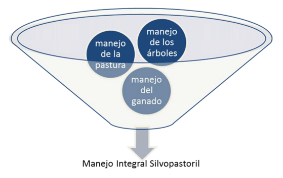 FIGURA 5. Manejo Integral Silvopastoril. FUENTE: Botero y Russo, 2016.
