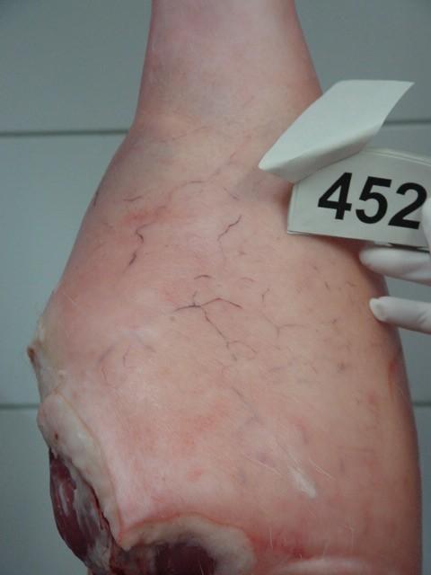 Efecto de la genética, el tipo de aturdimiento y la presencia de venas varicosas sobre la incidencia de hemorragias subcutáneas en jamones de cerdos de cruce comercial - Image 2