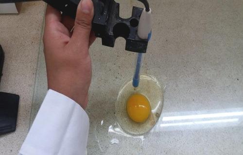 Evaluación de una mezcla nutricional sobre el color de cáscara de huevo de gallinas de postura - Image 1