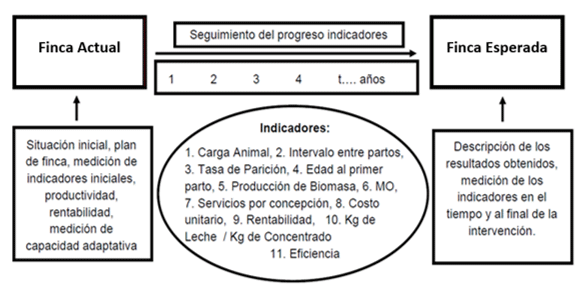 Figura 2. Diagrama de la estructura del proceso del plan operativo de intervenciones en fincas de lechería especializada y sus interrelaciones. Fuente: CR-MAG, 2018b.