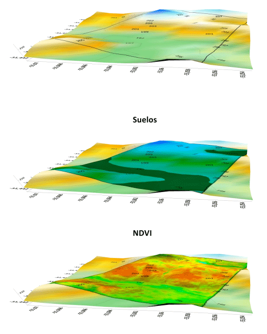 Modelo Digital del Terreno (MDT)