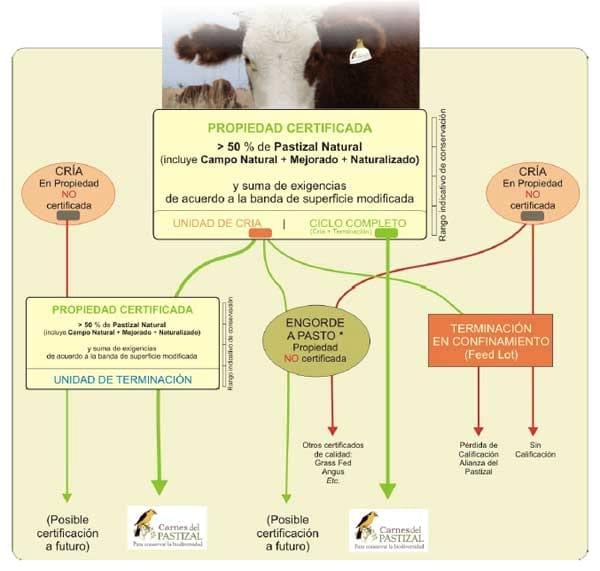 Protocolo Regional de Carne del Pastizal - Alianza del Pastizal - Image 3