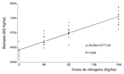 Figura 2. Relación en producción de biomasa acumulada de pasto Cambá FCA (kg MS/ha-1 ) según dosis de N.