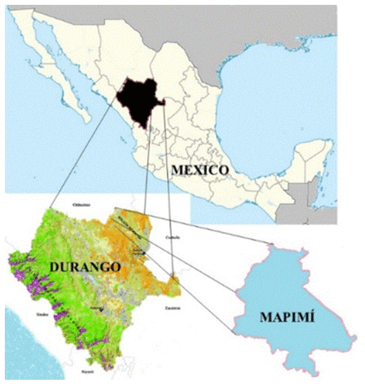 Figura 1 Localización geográfica del área de estudio en el Municipio de Mapimí del Estado de Durango, México 