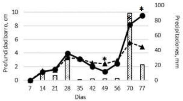 Efecto del uso de reparo sobre indicadores productivos durante la época invernal en la recría bovina en Chubut - Image 2