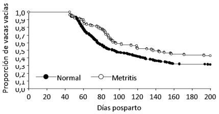 Figura 1. Riesgo de preñez a partir del día 45 hasta el día 200 post parto en vacas primíparas con diagnóstico Normal (●) o con Metritis puerperal postparto (○) (P=0,008873)
