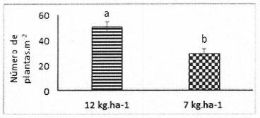 Figura 1. Número de plantas.m2 logradas a los 57días según la densidad de siembra. Letras minúsculas diferentes indican diferencias significativas (p valor< 0,05).