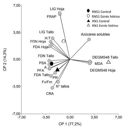 Figura 1. Biplot que muestra el comportamiento diferencial de los genotipos RN51 y RN1 en condiciones de estrés hídrico para variables morfo-fisiológicas y de calidad forrajera.