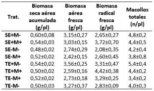 Tabla 1. Variables registradas (media ± EE) en plantas de festuca alta de una población naturalizada libre (SE-) o infectada (SE+) con endófito silvestre y el cv. Taita libre (TE-) o infectado (TE+) con endófito seguro AR584 en presencia (M+) o no (M-) de nematodos Meloidogyne sp.