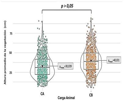 Figura 2. Resultados de las alturas promedio del dosel bajo carga animal alta (CA) y carga animal baja (CB).