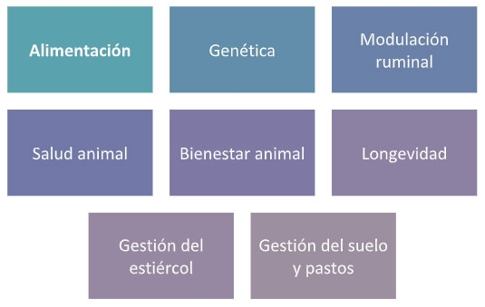 Figura 1. Áreas de mitigación de las emisiones de metano en rumiantes. Fuente: elaboración propia