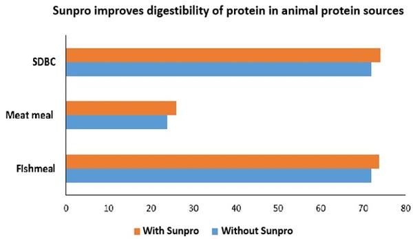 Facilitar el uso de proteínas valiosas - Image 4