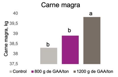 Efecto del ácido guanidinoacético, precursor de la creatina, en cerdas gestantes y lactantes - Image 12