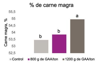 Efecto del ácido guanidinoacético, precursor de la creatina, en cerdas gestantes y lactantes - Image 14