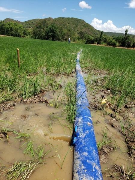 Implementación del sistema de riego en arroz por multiples Entradas “Miri” en la finca La Lupita (El Zulia, Santander. Colombia) - Image 2