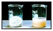 Formulación de plaguicidas y mezclas de tanque - Image 11