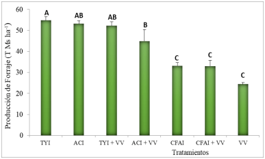 Figura 1. Producción forrajera de VI puros y consociados con VV Letras distintas indican diferencias significativas (P< 0,05).TYI: triticale Yagan INTA, TYi-VV (triticale-vicia), ACI:avena Calen INTA, ACI-VV (avena-vicia); CFAI: cebada forrajera Alicia INTA, CFAI-VV (cebada- vicia), VV Vicia villosa