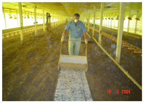 Manejo y Tratamiento de camas en Producción Avícola - Image 5