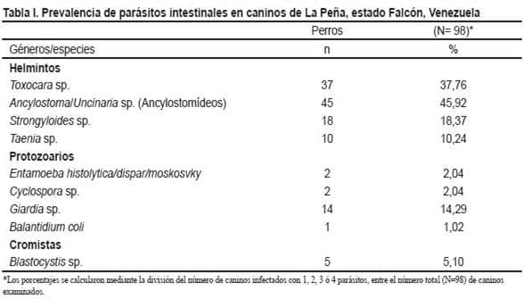 Parásitos intestinales de importancia zoonótica en caninos domiciliarios de una población rural del estado Falcón, Venezuela - Image 1