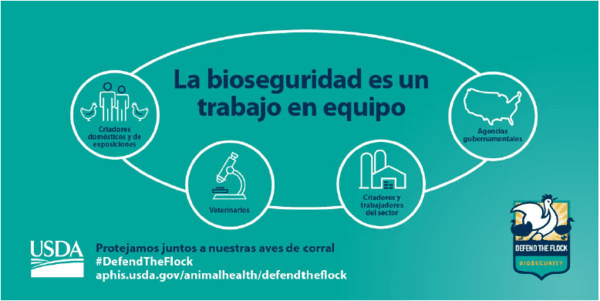 SI a la Bioseguridad, NO a la influenza aviar: Los 10 tips - Imagen 12