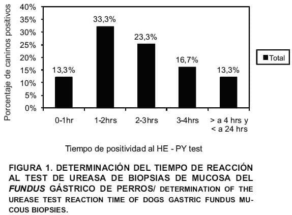 Relación entre el grado de contacto perro-propietario y la carga de helicobacterias en mucosa gástrica canina - Image 1