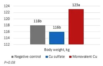 ¿Existe una relación entre la modulación de la microbiota por cobre monovalente y la digestibilidad de grasas? - Image 1