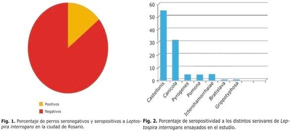 Seropositividad a Leptospira interrogans en perros de la ciudad de Rosario, Argentina - Image 1