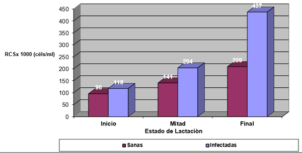 Figura 6. Media geométrica del RCS en ubres sanas e infectadas, según el estado de lactación (Inicio: 1-100 días; Mitad: 101-200 días; Final: 201-300 días)