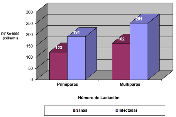 Figura 7. Media geométrica del RCS (céls/ml) en ubres sanas e infectadas, según el número de lactación (primíparas y multíparas).