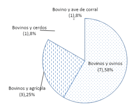 Gráfico 1. Diversificación de los sistemas de producción bovina en el municipio de Chapa de Mota, cuando participa con otra actividad agropecuaria
