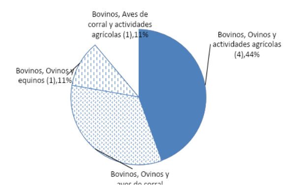 Gráfico 2. Diversificación de los sistemas de producción bovina en el municipio de Chapa de Mota Mex, cuando participan hasta 3 actividades agropecuarias