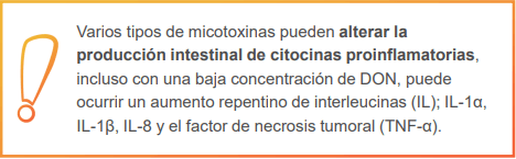 Micotoxinas y Salud Intestinal en Monogástricos - Image 3