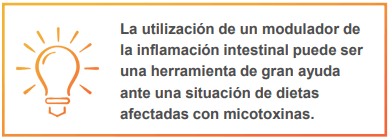 Micotoxinas y Salud Intestinal en Monogástricos - Image 4