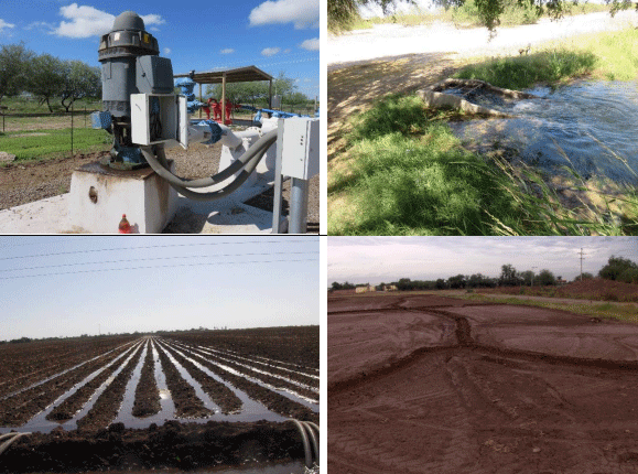 TRIGO. Demostración gráfica para establecer el cultivo de Triticum aestivum con riego agrícola, implementando un paquete tecnológico y prácticas agronómicas sostenibles. Cuatro de siete - Image 6