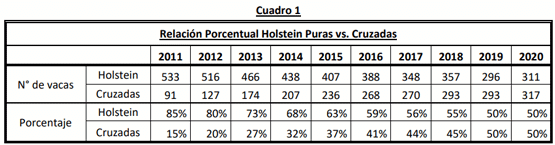 Relación Porcentual Holstein Puras vs. Cruzadas