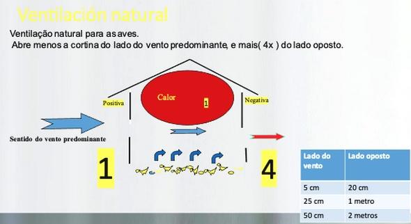 Estrategias de gestión invernal para mejorar el rendimiento de los pollos de engorde - Image 2