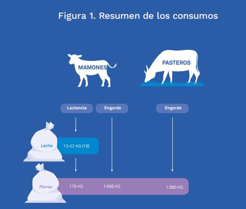 La huella hídrica de la producción de carne de vacuno en Cataluña - Image 3