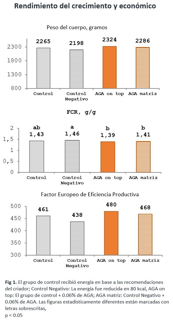 El efecto del Ácido Guanidinoacético sobre parámetros productivos y económicos en pollos de engorde - Image 1