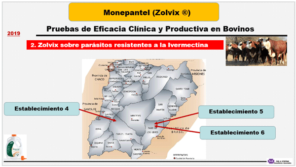 MONEPANTEL (ZOLVIX®) EN LOS BOVINOS Estudio 2. Eficacia clínica del Monepantel en el destete de bovinos, sobre infecciones naturales de nematodos gastrointestinales resistentes a la Ivermectina. - Image 1