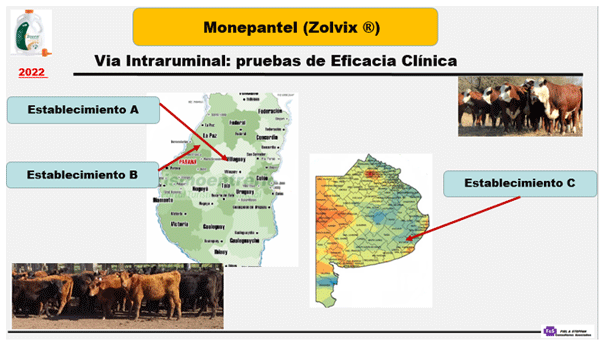 MONEPANTEL (ZOLVIX®) EN LOS BOVINOS Estudio 3. Eficacia clínica de Monepantel aplicado por vía oral o intraruminal sobre infecciones naturales de nematodos gastrointestinales de bovinos. - Image 1