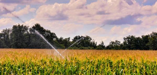 Calidad del agua en las granjas: conozca cuáles son las mejores prácticas de cloración - Image 1
