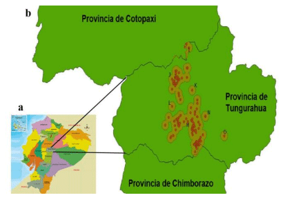 Figura 1. Clústeres para muestreo del virus de la bronquitis infecciosa aviar (IBV) en la provincia de Tungurahua. a. Mapa político del Ecuador (https://www.prolipa.com.ec/actividades/mapapolitico). b. Imagen generada en QGIS 3.28.1 a partir de las coordenadas geográficas de las granjas avícolas de la provincia de Tungurahua que se identifican con círculos. Se observan siete clústeres identificados con letras de la I a la O.