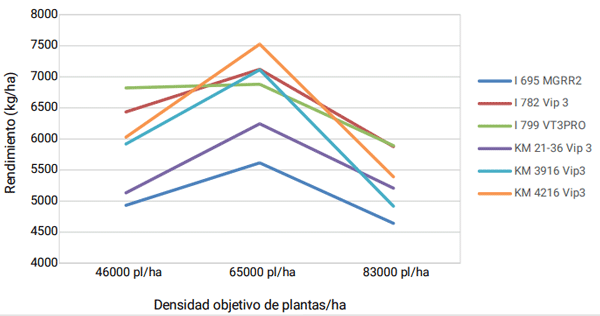 Grafico 2: Rendimientos de híbridos de maíz siembra temprana en tres densidades de siembra, San Antonio de Areco, Buenos Aires, campaña 2021/2022.